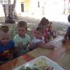 fnykpek 1215